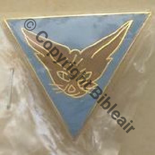 1939  A0821 2012 2eDRILLE EIV.3.4 LIMOUSIN TOURS FENNEC  SM Tambour Dos lisse irreg  Src.fred71albatros 19Eur06.12 